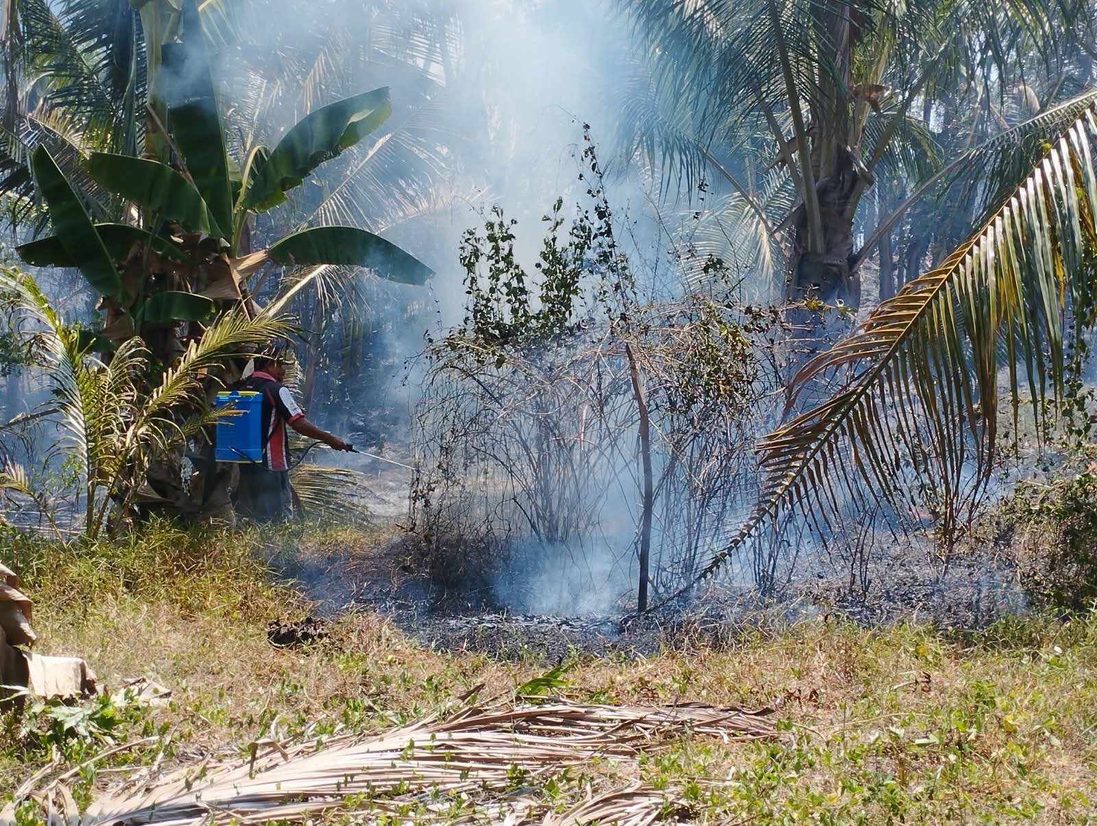 KEBAKARAN LAHAN PERTANIAN SELUAS 8 HEKTAR MELANDA DESA OMBO, KECAMATAN SIRENJA